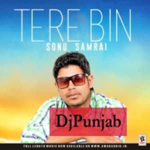 Tere Bin Sonu Samrai Mp3 Song