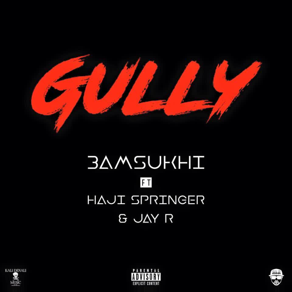 Gully Haji Springer  Mp3 song download