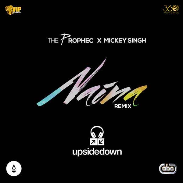 Naina (Upsidedown Remix) The Prophec mp3 song