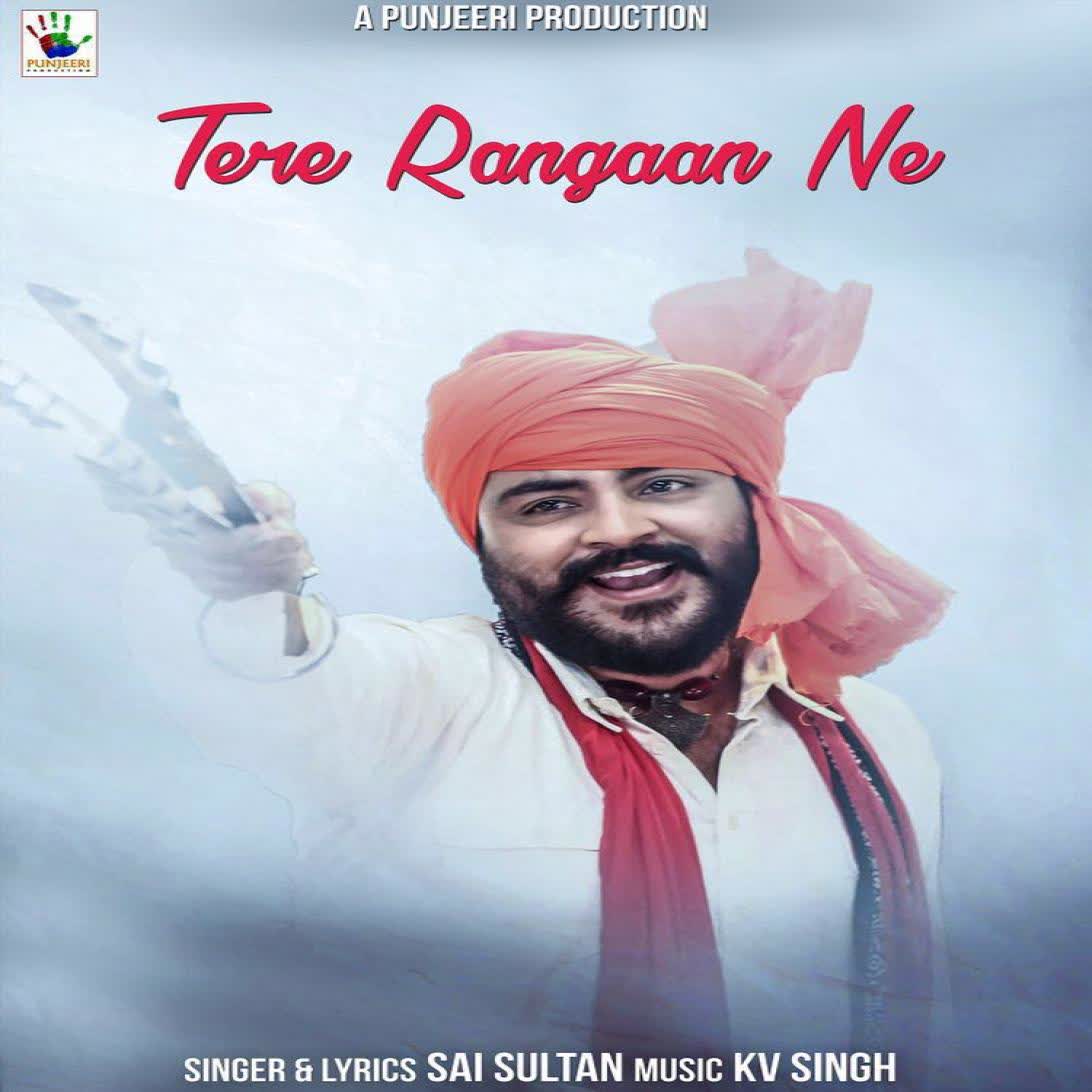 Tere Rangaan Ne Sai Sultan mp3 song