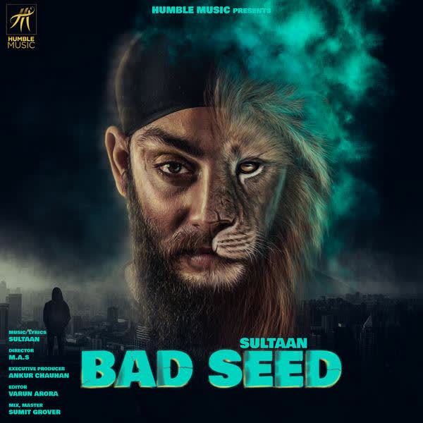 Bad Seed Sultaan mp3 song