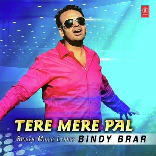 Tere Mere Pal Bindy Brar mp3 song