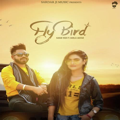 Fly Bird Karan Veer mp3 song