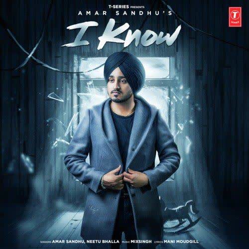 I Know Amar Sandhu mp3 song