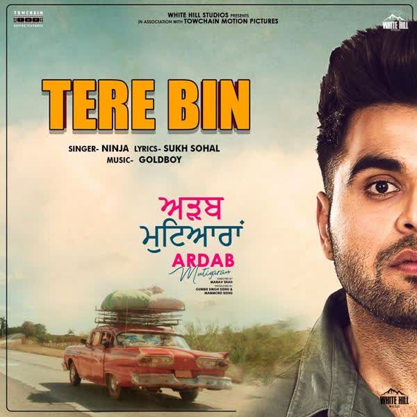 Tere Bin (Ardab Mutiyaran) Ninja mp3 song