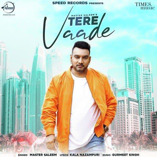 https://cover.djpunjab.org/48089/300x250/Tere_Vaade_Master_Saleem.jpg