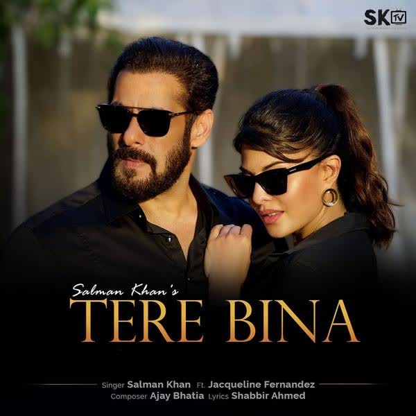 tere bina drama title song