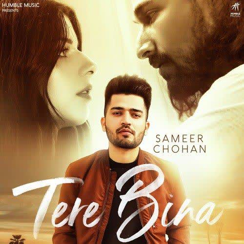 Tere Bina Sameer Chohan mp3 song