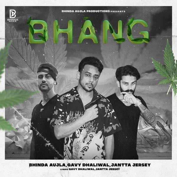 Bhang Bhinda Aujla mp3 song - DjPunjab