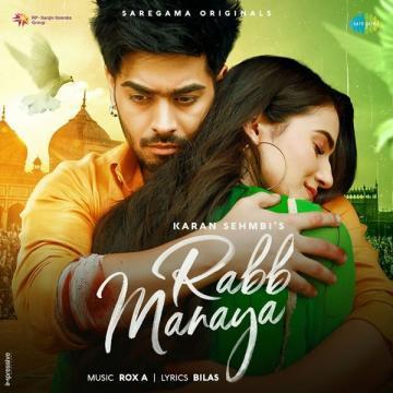 Karan Sehmbi picture