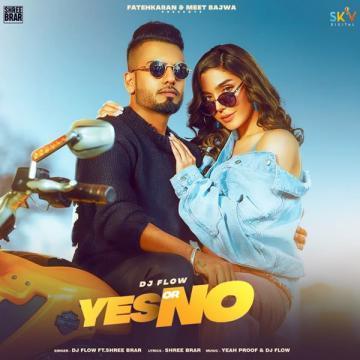 Yes Or No DJ Flow Mp3 Song