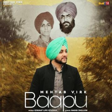 Mehtab Virk picture